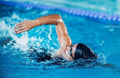 Bild von Einsteigerschwimmkurs für Erwachsene