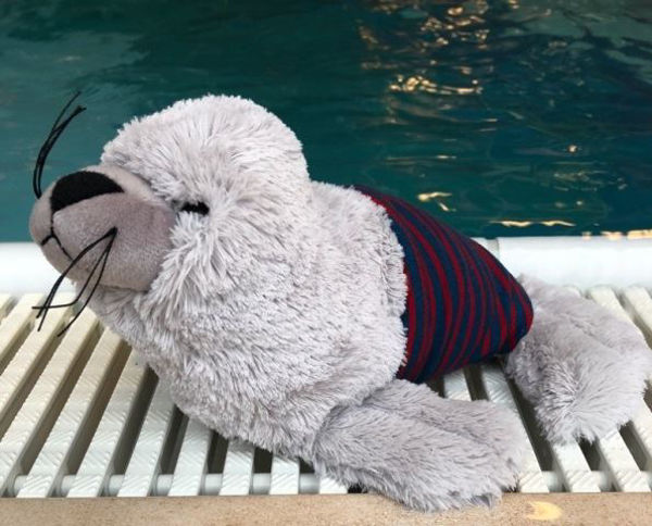 Bild von Plüschtier Fridolin gross