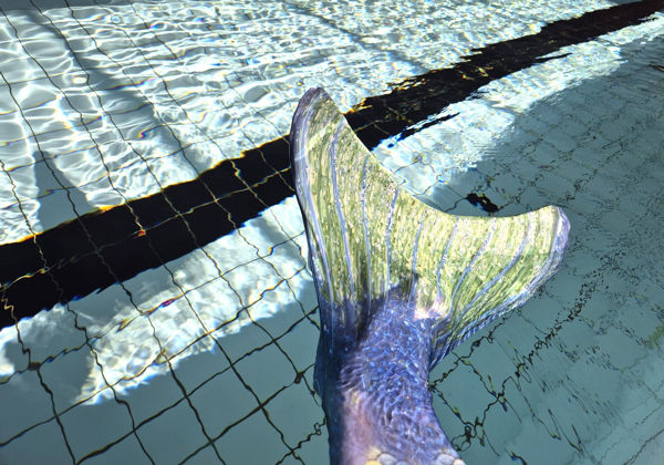 Bild von Mermaid Kurs