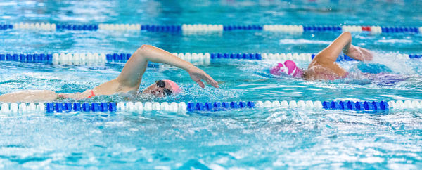 Bild von Crawltraining 50 Min 16TN