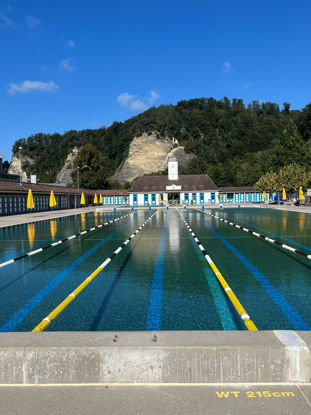 Bild von 1903 EE Erwachsen FB